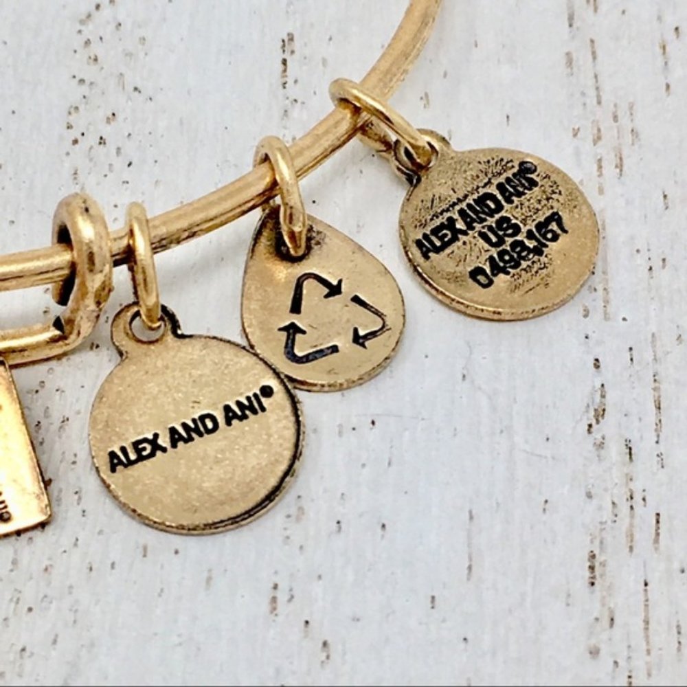 ALEX & ANI 2018 Graduation Cap Charm Bangle - Picture 6 of 6